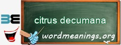 WordMeaning blackboard for citrus decumana